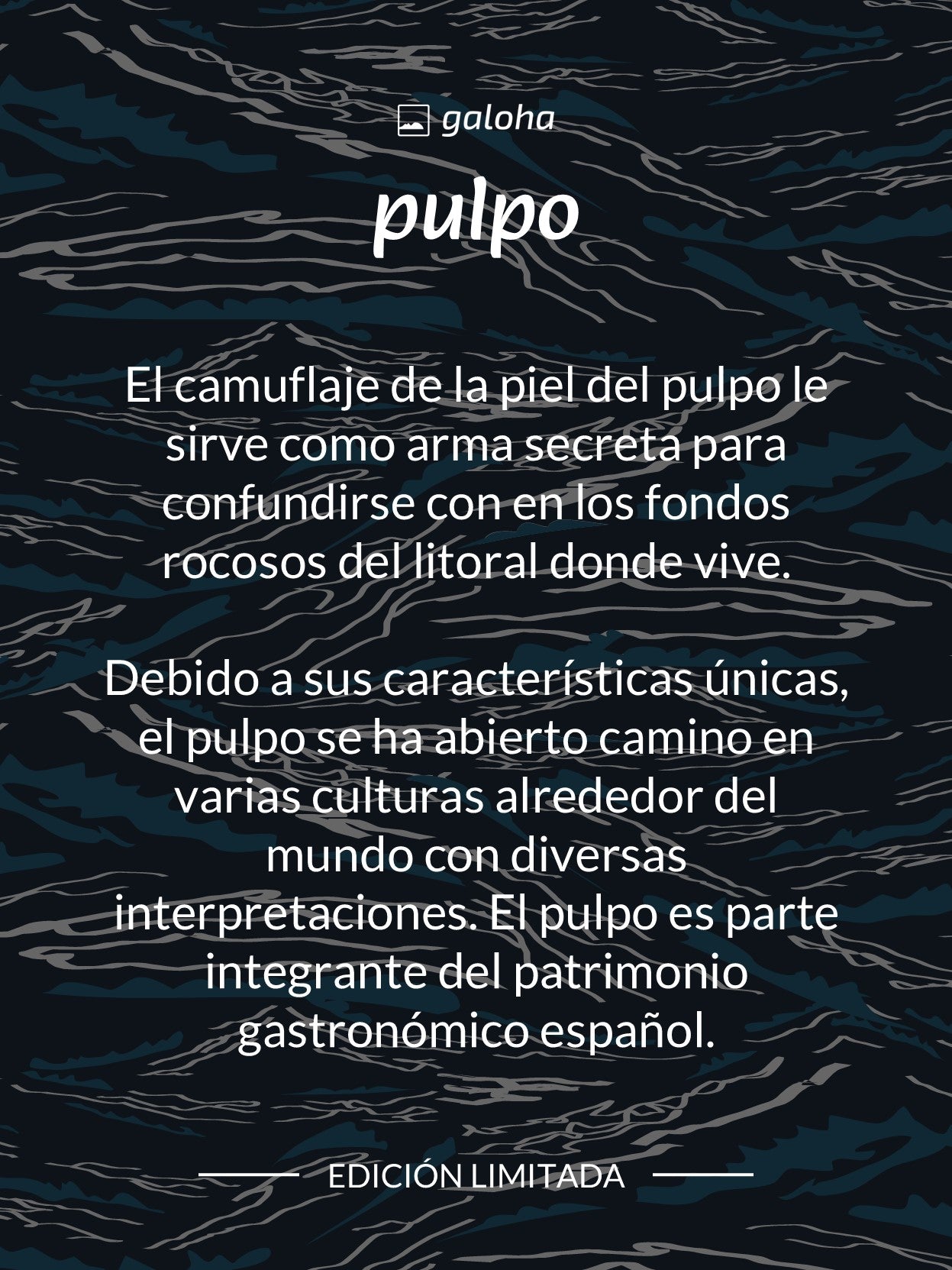 Pulpo- Camiseta Manga Corta